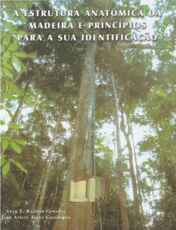 A Estrutura Anatomica da Madeira e Principios para a sua Identificacao